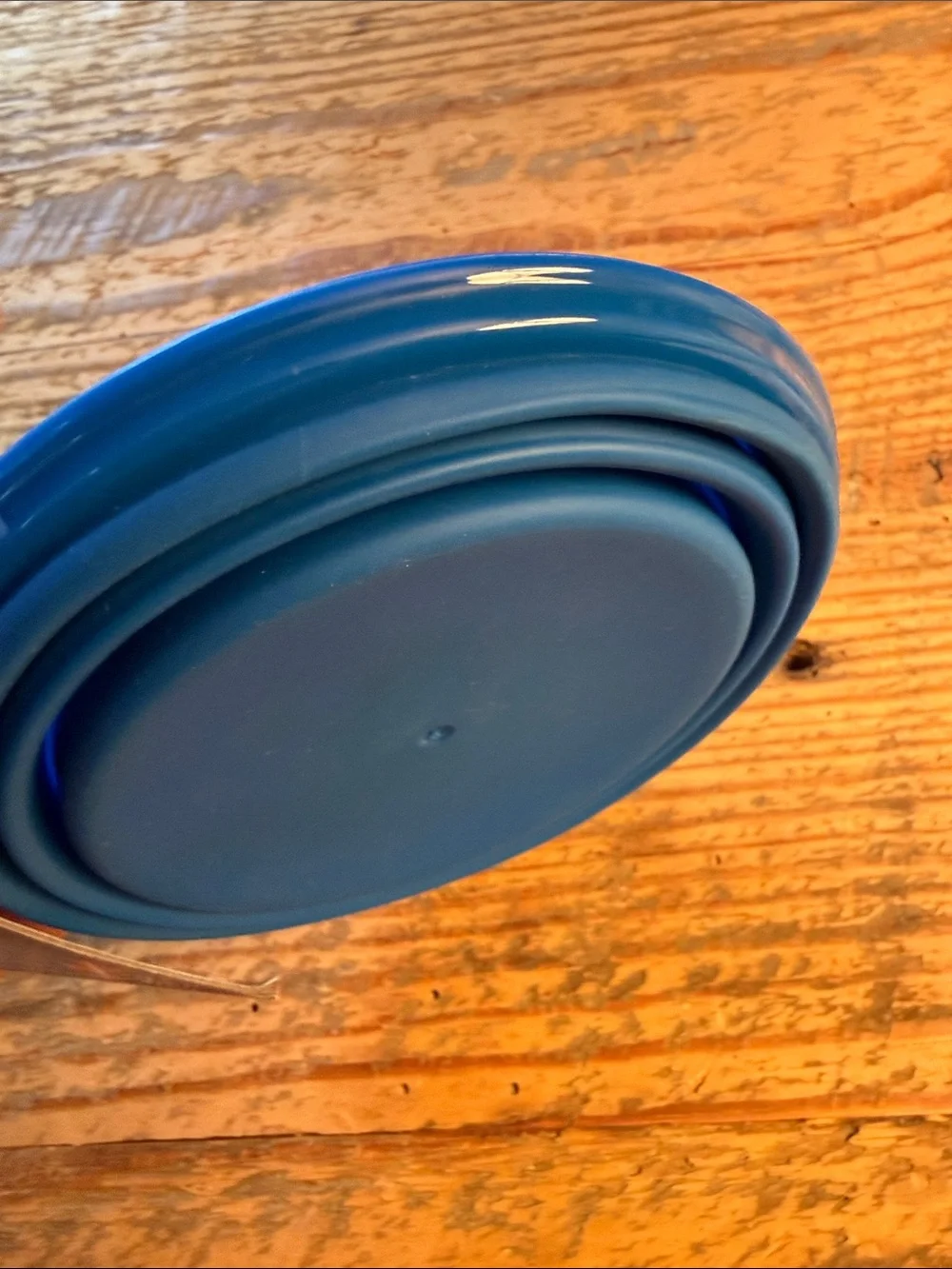 Paw Patrol Blue Silicone Collapsible Pet Bowl with Red Clip